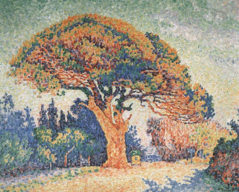 Paul Signac Pine Tree at Saint-Tropez France oil painting art